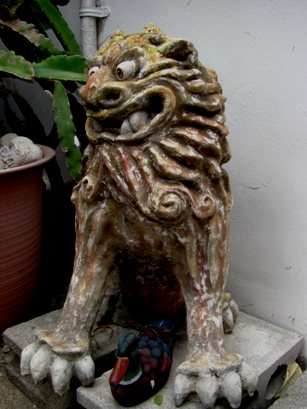 菜園