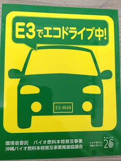 E3