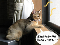 めんどくせえ・・・