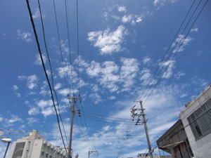台風11号 (ファナピ)
