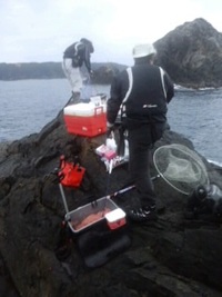 あっちに行きたーい♪ 2012/03/16 21:27:24