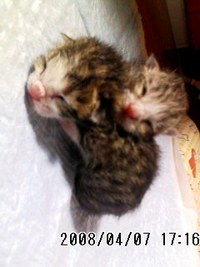 ちょっと、ひと息(*^o^*) 2008/07/02 11:06:25