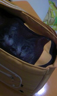 出してくれ〜(￣○￣;) 2008/05/31 10:15:40