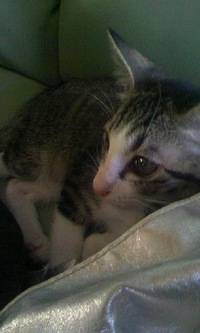 カメラ目線(≧∇≦) 2008/06/29 11:06:54
