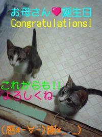 昨日は誕生日でした！ 2008/07/15 01:11:25