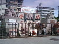 ざ・シーサー 2008/07/26 02:59:00