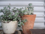 『茶屋Be natural』