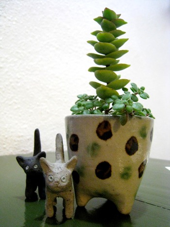 今日は植物のお話。