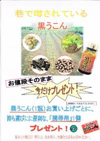 キャンペーン開催