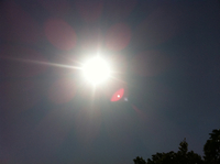 大好きな太陽 2012/04/14 16:13:04