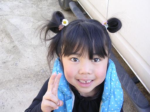 *最近のピコ♪*