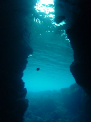 託児付き☆青の洞窟体験ダイビング