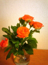 薔薇の花たち