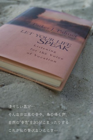 清々しい日…
