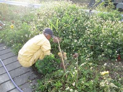 平成26年5月2日(金) ゴールデンウィーク前の地域一斉ボランティア清掃活動と会社周辺草刈り作業 平成26年5月2日(金) ゴールデンウィーク前の地域一斉ボランティア清掃活動と会社周辺草刈り作業
