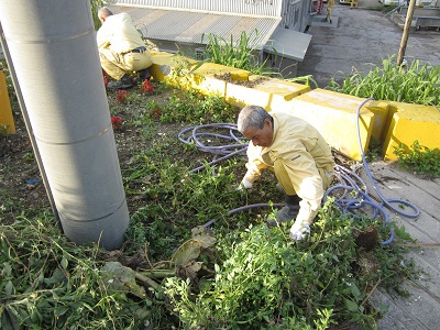 平成26年5月2日(金) ゴールデンウィーク前の地域一斉ボランティア清掃活動と会社周辺草刈り作業 平成26年5月2日(金) ゴールデンウィーク前の地域一斉ボランティア清掃活動と会社周辺草刈り作業