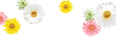 明けましておめでとうございます(^^♪
