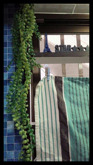 ★ダイソー、フェイクgreen.:*:・°☆ ★ダイソー、フェイクgreen.:*:・°☆