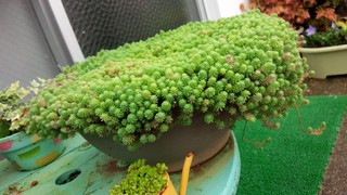 ★Mixへ、納品.:*:・°☆ ★Mixへ、納品.:*:・°☆