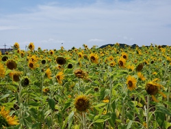 沖縄に行っておりました18~番外編2日目~ 沖縄に行っておりました18~番外編2日目~