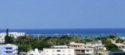 沖縄に来ております19〜野菜ソムリエもね 沖縄に来ております19〜野菜ソムリエもね