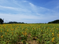 沖縄に行っておりました18~番外編2日目~ 沖縄に行っておりました18~番外編2日目~