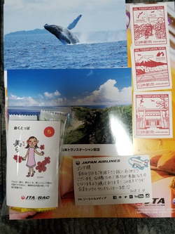沖縄に行っておりました18~番外編おもひで版~ 沖縄に行っておりました18~番外編おもひで版~