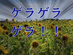 沖縄に行っておりました18~番外編2日目~ 沖縄に行っておりました18~番外編2日目~