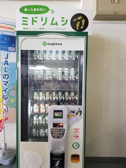 沖縄に行っておりました18~番外編おもひで版~ 沖縄に行っておりました18~番外編おもひで版~