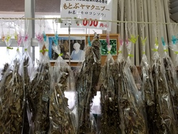 沖縄に行っておりました18~13年来の願いが叶った日~ 沖縄に行っておりました18~13年来の願いが叶った日~