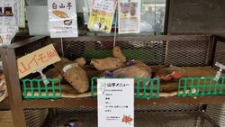 沖縄に来ております19〜野菜ソムリエもね 沖縄に来ております19〜野菜ソムリエもね