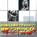 琉神マブヤーパズル[クーバー１号２号]