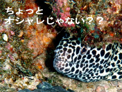冬の伊良部♪
