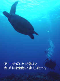晴れ&凪~♪