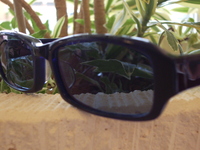 UV・ASでこの価格・・ 2011/07/07 13:14:41