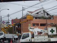 台風が過ぎ去ったあとには・・ 2011/08/06 15:54:20