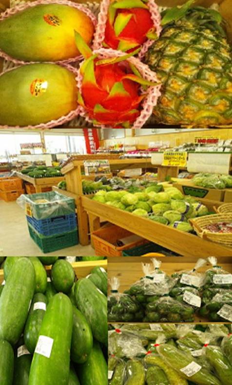 道の駅豊崎 「菜々色畑」~農産品コーナー~