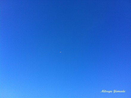 天気良過ぎ