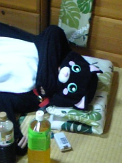 猫ぐるみ