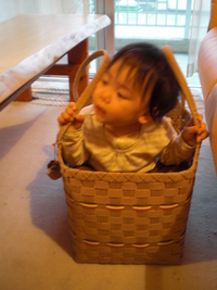 2009年04月01日