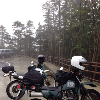 初ダート② 初ダート②