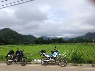 初ダート② 初ダート②