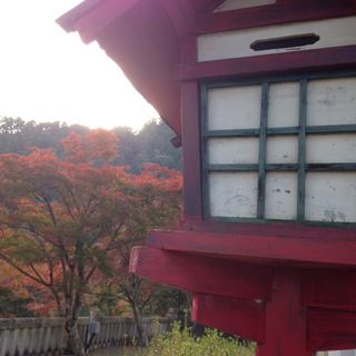 道荒れ過ぎ・・・で引き返す((+_+)) 道荒れ過ぎ・・・で引き返す((+_+))