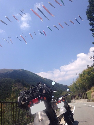 こいのぼりツー こいのぼりツー