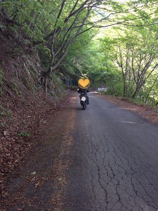 ひさびさの林道 ひさびさの林道