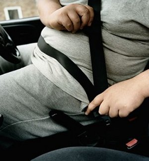 「肥満ドライバーは衝突事故で死亡する確率が80パーセントも高い」
