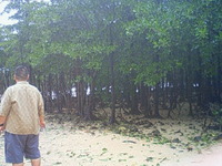 八重山旅行5