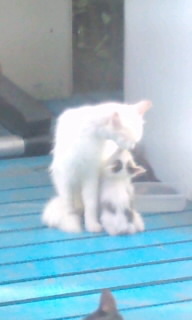 ムヒョ～（＾ｖ＾） 2011/05/23 10:14:49