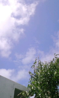 嵐のあとの静けさ(^w^) 2011/05/29 15:57:19
