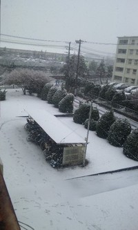 雪便り・・・ 2012/03/06 22:15:24